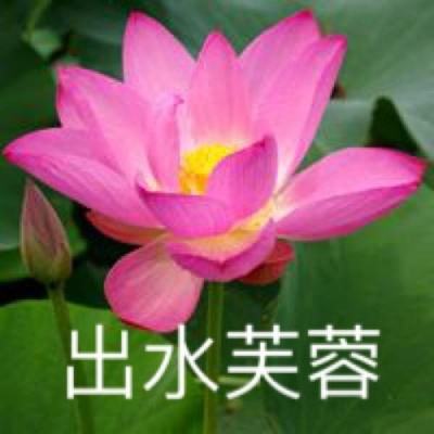 981金蟾捕鱼游戏下载