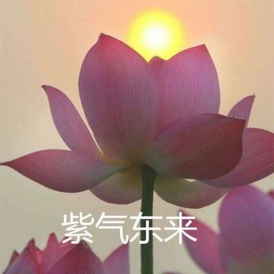 公益传奇超爆版下载